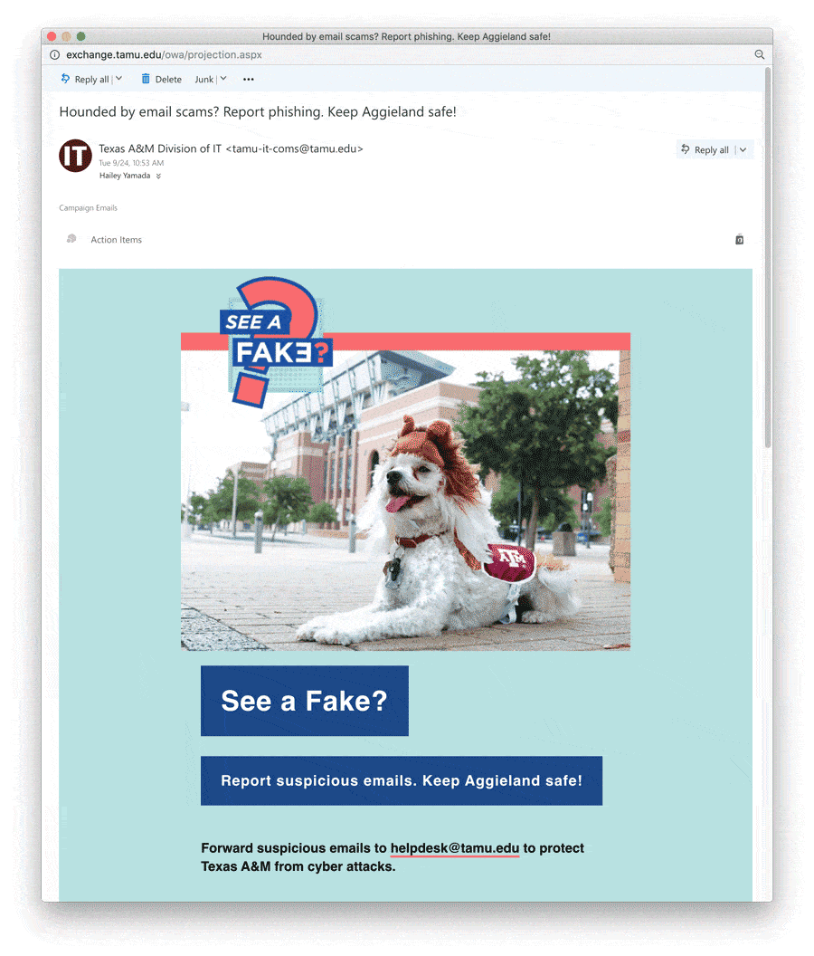 Email with a fake Reveille header image